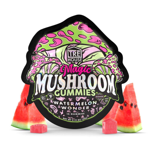 2 Magic Mushroom Gummies